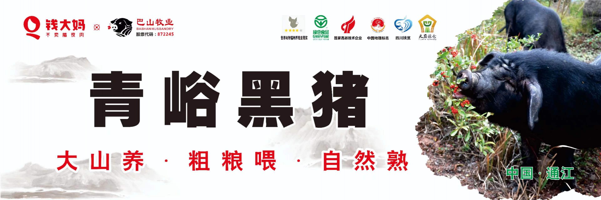 8月19日，青峪黑豬肉 正式在“錢(qián)大媽”重慶市場(chǎng)開(kāi)賣(mài)